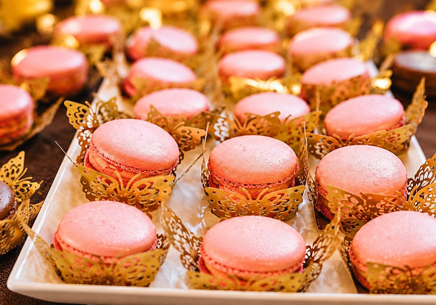 macarons-card